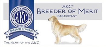 sea glass goldens akc breeder of merit image